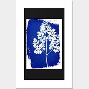 cyanotype fern 2 Posters and Art